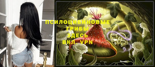 метадон Коряжма