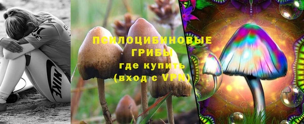 метадон Коряжма