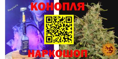 твердый Будённовск