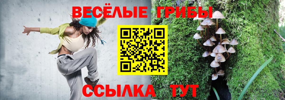 Волгодонск  Галлюциногенные грибы Psilocybine cubensis  Вход с VPN 