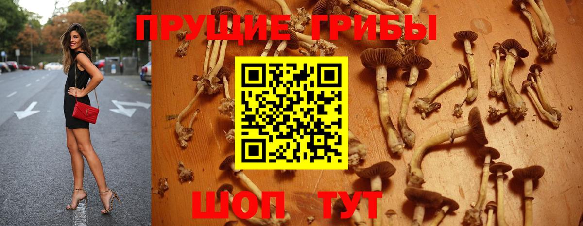 Галлюциногенные грибы мицелий Волгодонск