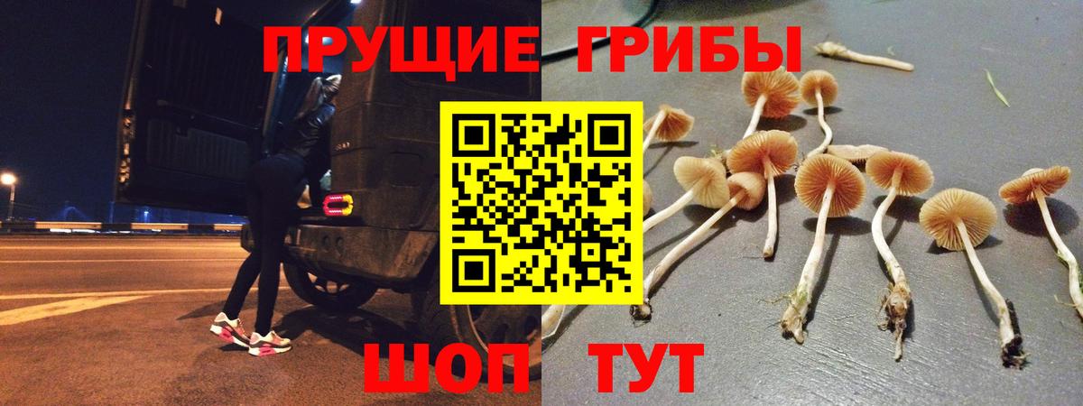 MDMA  А ПВП  Конопля  Мефедрон  Волгодонск  Лсд 25  Плюхи  ГАШ  Вход с VPN  Кокаин 